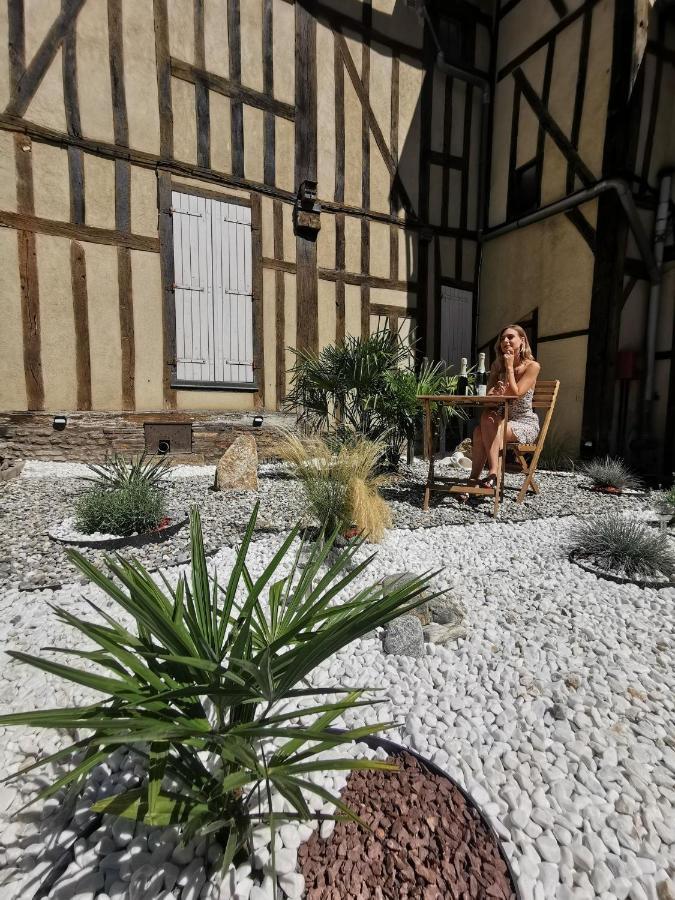 Апартаменты Le Papillon De La Cathedrale - Calme - Jardin - Wifi Труа Экстерьер фото